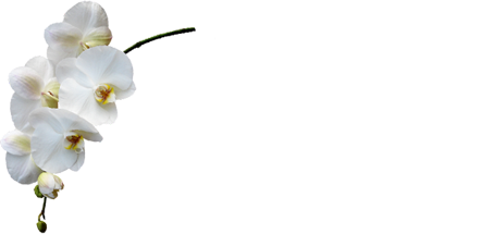 Natur'elle esthétique